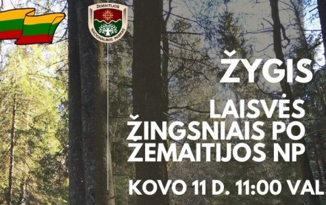 Kovo_11_dienos_zygis.jpg