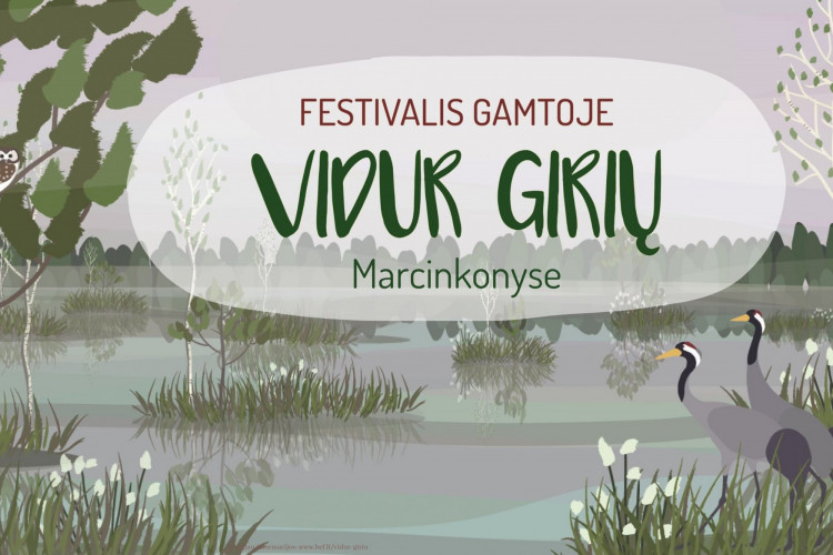 Vidur girių.jpg