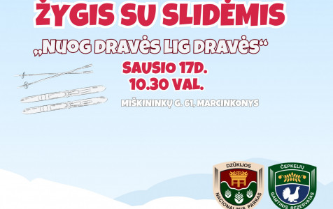 Dzūkijos NP5.jpg