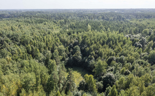 asvejos-regioninis-parkas-63039b4c17d1d.jpg