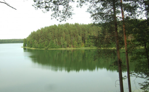 Baluošo_piliakalnis,_2015.jpg
