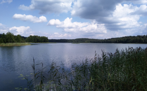 IMG_20230725_123726.jpg
