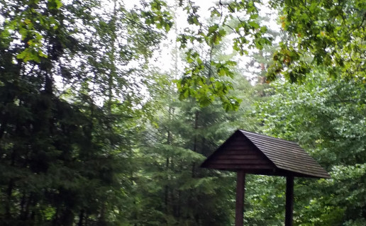 Baltelis.jpg