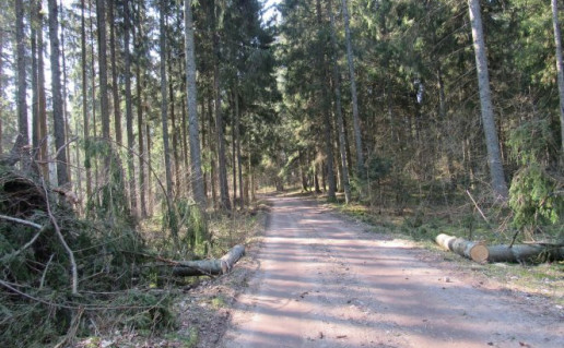 Pesciuju-dviraciu-trasa-aplink-Ilgio-ezera.-A.Brazdeikytes-n-5-663x497.jpg