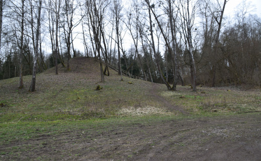 DSC_0953.JPG