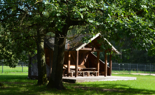 DSC_1576.JPG
