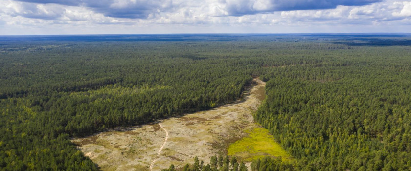 1-cepkeliu-gamtinis-rezervatas-5d70d6d030a5d.jpg