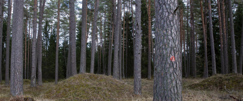 1-grazutes-regioninis-parkas-5c938805d89ba.jpg