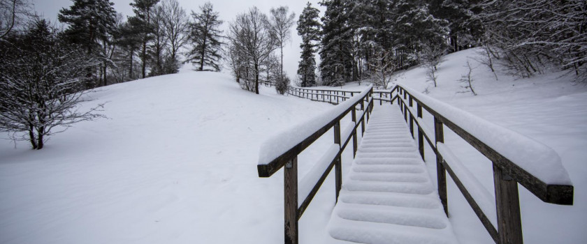 1-pavilniu-regioninis-parkas-5c29dc6cee10c.jpg