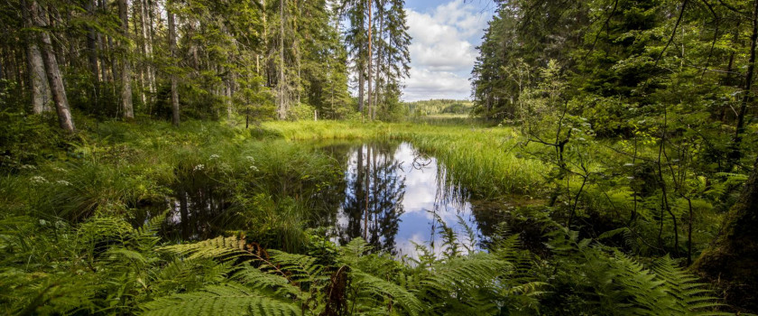 kurtuvenu-regioninis-parkas-5d3d91e065550.jpg
