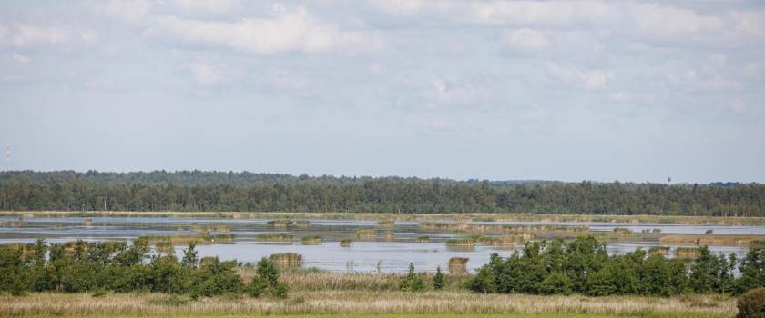 rezervato-apzvalgos-aikstele-5d5ff4a25894d.jpg