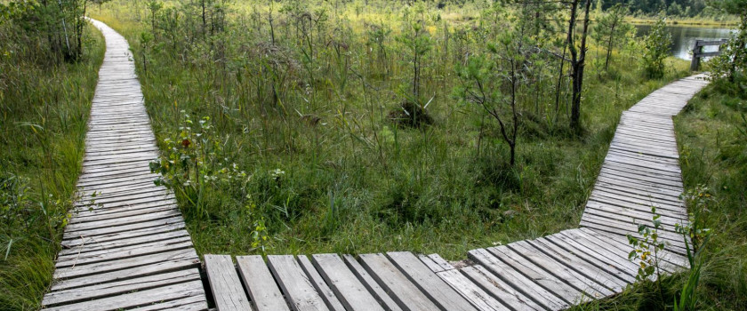 varnikiu-botaninio-zoologinio-draustinio-pazintinis-takas-5d611c3a58169.jpg