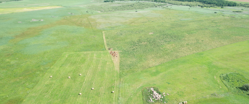 DJI_0478.JPG